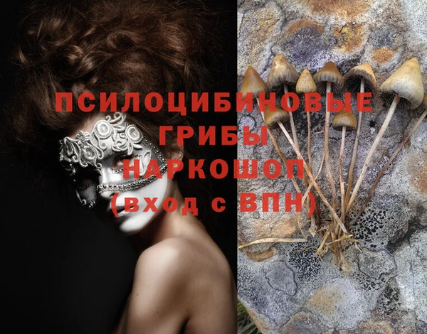 PSILOCYBIN Нефтекумск