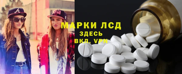 прущие грибы Нея