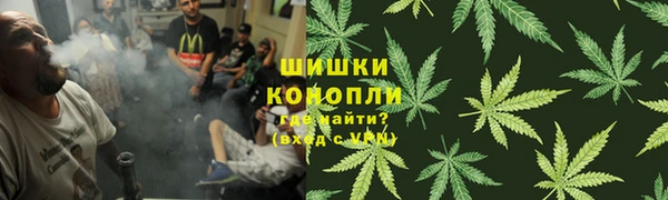 прущие грибы Нея