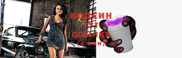 прущие грибы Нея