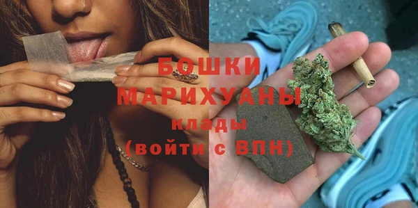 прущие грибы Нея