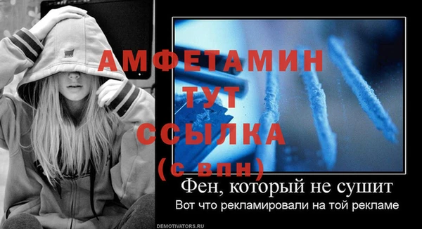 прущие грибы Нея