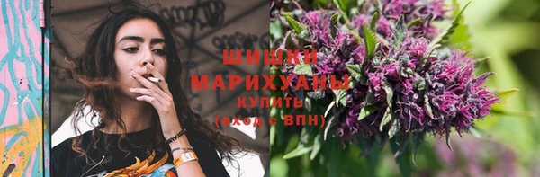 прущие грибы Нея
