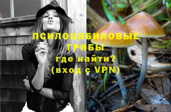 PSILOCYBIN Нефтекумск