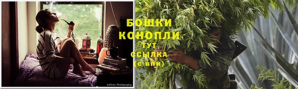 PSILOCYBIN Нефтекумск