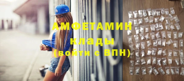 прущие грибы Нея