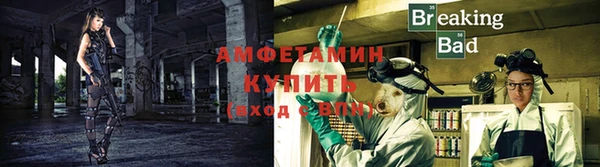 прущие грибы Нея
